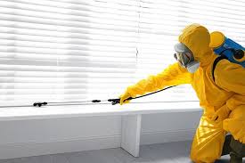 Professional Pest Control in Sebastian, TX